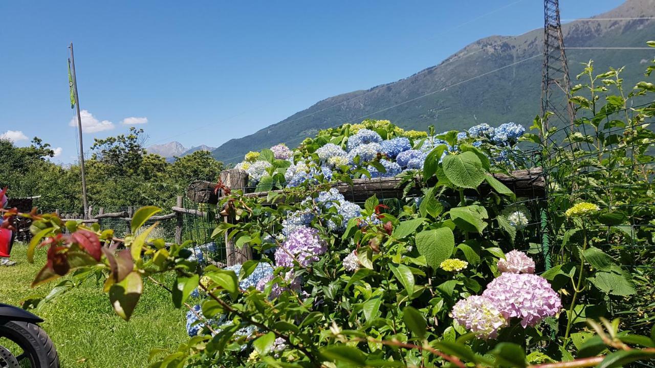 Agriturismo Volpe Golosa Morbegno Extérieur photo